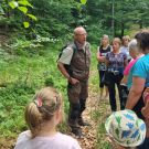 Familienexkursion durch die Waldhusche
