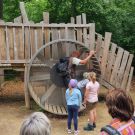 Familienexkursion durch die Waldhusche