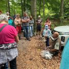 Familienexkursion durch die Waldhusche